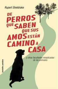 DE PERROS QUE SABEN QUE SUS AMOS ESTÁN CAMINO DE CASA