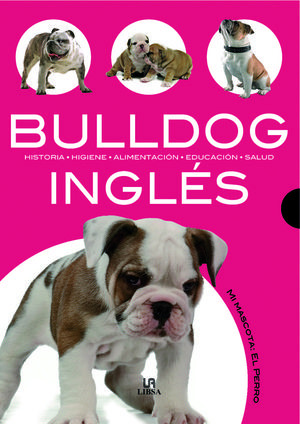 BULLDOG INGLÉS