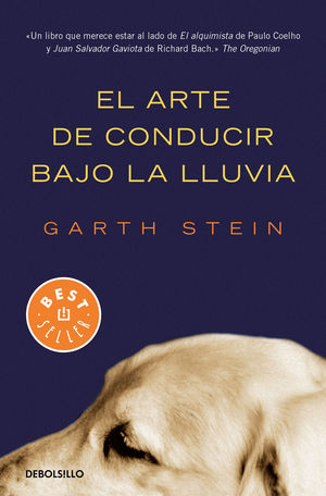 EL ARTE DE VIVIR BAJO LA LLUVIA