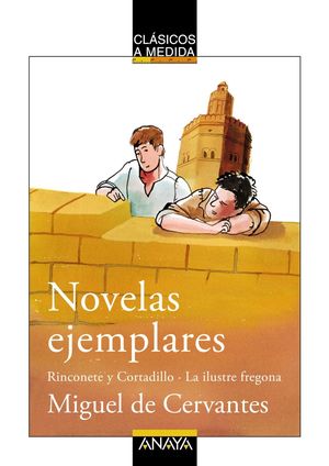 NOVELAS EJEMPLARES (CLÁSICOS A MEDIDA)
