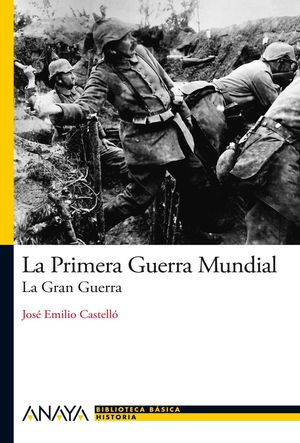 LA PRIMERA GUERRA MUNDIAL