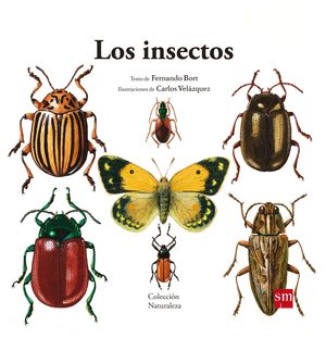 LOS INSECTOS