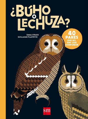 BÚHO O LECHUZA?