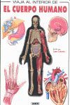 EL CUERPO HUMANO