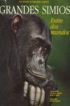 GRANDES SIMIOS