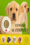 ANIMALES DE COMPAÑÍA
