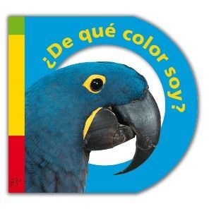 ¿DE QUÉ COLOR SOY?