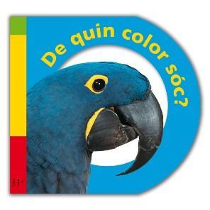 DE QUIN COLOR SÓC?