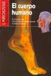 EL CUERPO HUMANO