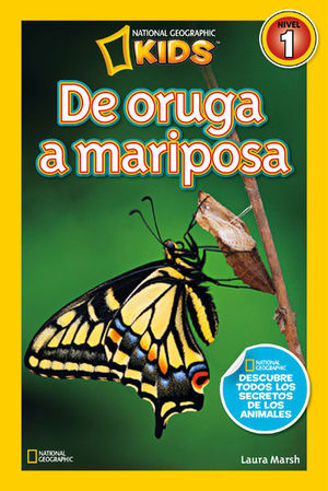 DE ORUGA A MARIPOSA