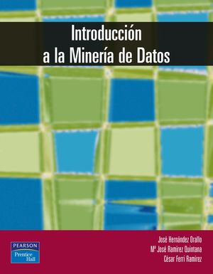 INTRODUCCIÓN A LA MINERÍA DE DATOS (E-BOOK)