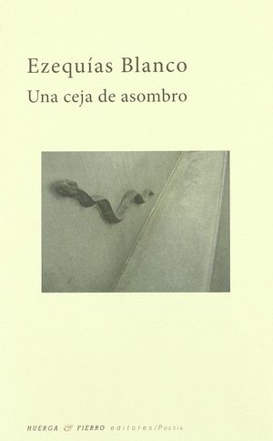 UNA CEJA DE ASOMBRO