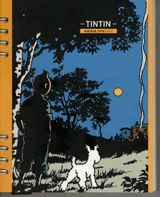 AGENDA TINTÍN 2010