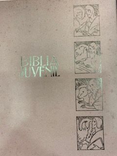 BIBLIA JUVENIL ANTIGUO Y NUEVO TESTAMENTO.