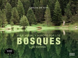 VIAJE BOSQUES DE ESPAÑA