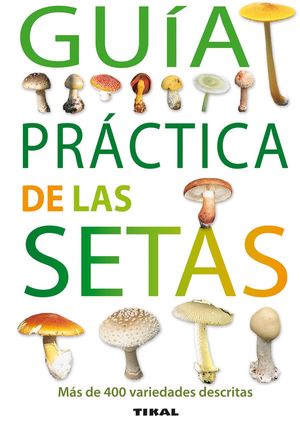 GUIA PRACTICA DE SETAS