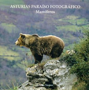 ASTURIAS PARAÍSO FOTOGRÁFICO 