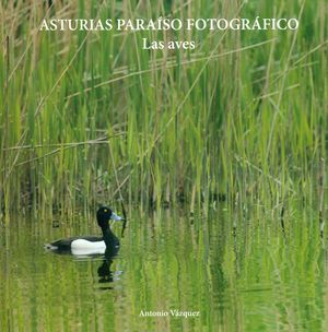 ASTURIAS PARAÍSO FOTOGRÁFICO 