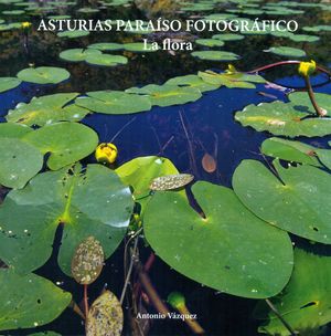 ASTURIAS PARAÍSO FOTOGRÁFICO 