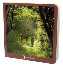 LOS ANIMALES DEL BOSQUE