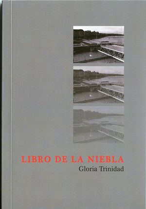 LIBRO DE LA NIEBLA