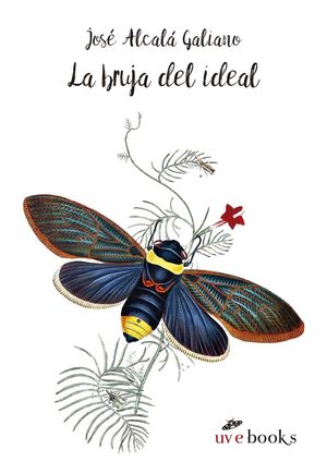 LA BRUJA DEL IDEAL