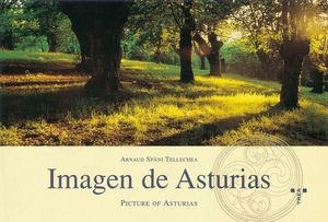 IMAGEN DE ASTURIAS / PICTURE OF ASTURIAS