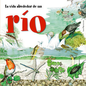 LA VIDA ALREDEDOR DE UN RÍO
