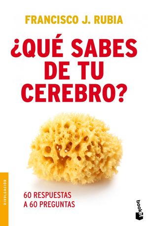 ¿QUÉ SABES DE TU CEREBRO?