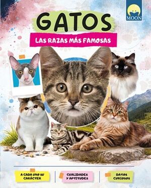 GATOS RAZAS MAS FAMOSAS