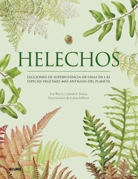 HELECHOS - BLUME