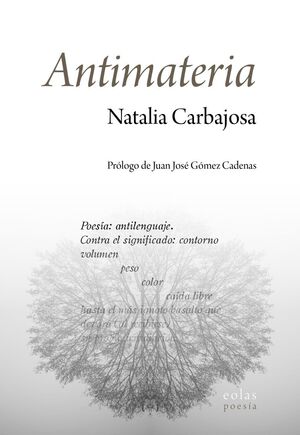 ANTIMATERIA